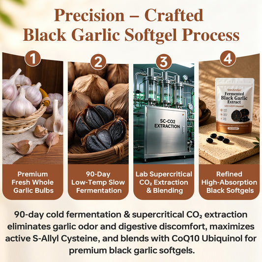 SresXrefas® Fermented Black Garlic Extract with CoQ10 Ubiquinol – Immune & Digestive Support | 300 Softgels