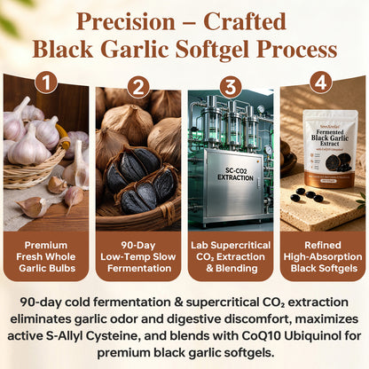 SresXrefas® Fermented Black Garlic Extract with CoQ10 Ubiquinol – Immune & Digestive Support | 300 Softgels