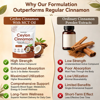 SresXrefas® Ceylon Cinnamon Extract with MCT Oil 550 mg – Energy & Digestive Support | 120 Softgels
